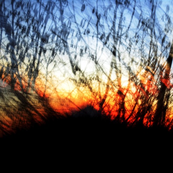 Abstract10